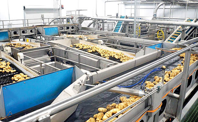 کارنامه صنعت غذا در پنج برنامه