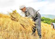 عقب‌ماندگی از سیگنال‏‏‌های رشد جهانی کشاورزی 