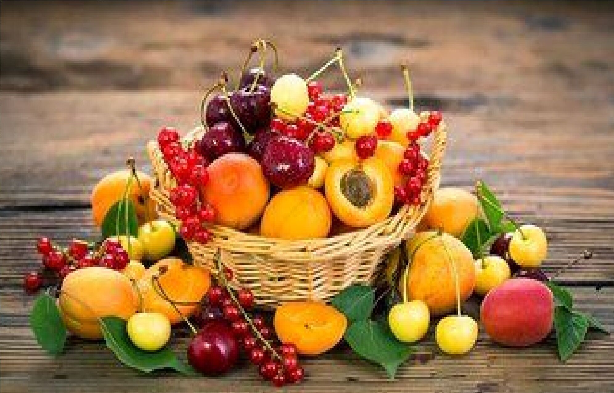 بررسی آخرین وضعیت همکاری‌های مشترک تهران و مسکو