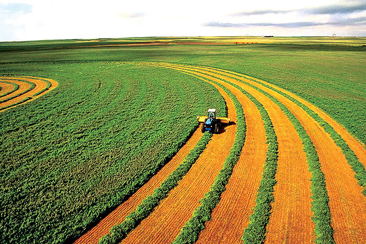 اصلاح ساختار تات 