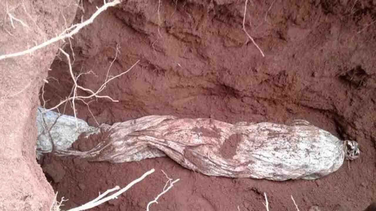 اقدام دیوانه وار زن جوان در مراسم خاکسپاری نامزدش