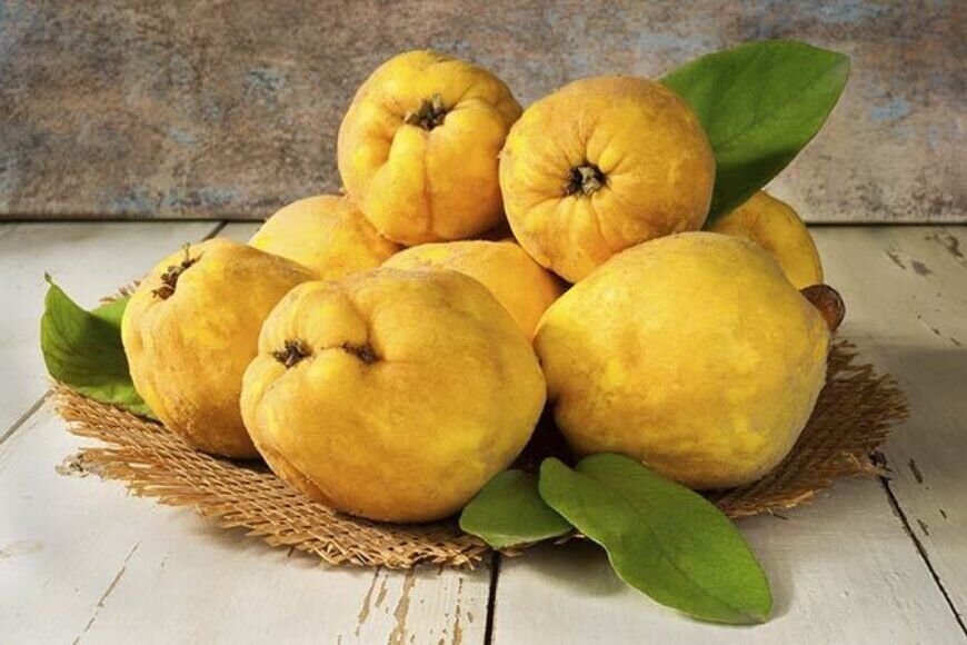 با خوردن این میوه به راحتی لاغر شوید