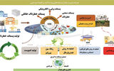ناکارآمدی در مدیریت زباله ها