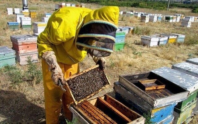رکوردشکنی آذربایجان‌‌‌شرقی در تولید عسل