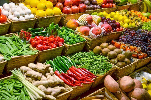 فلفل‌های برگشت خورده خوراک گوسفندان شدند؟