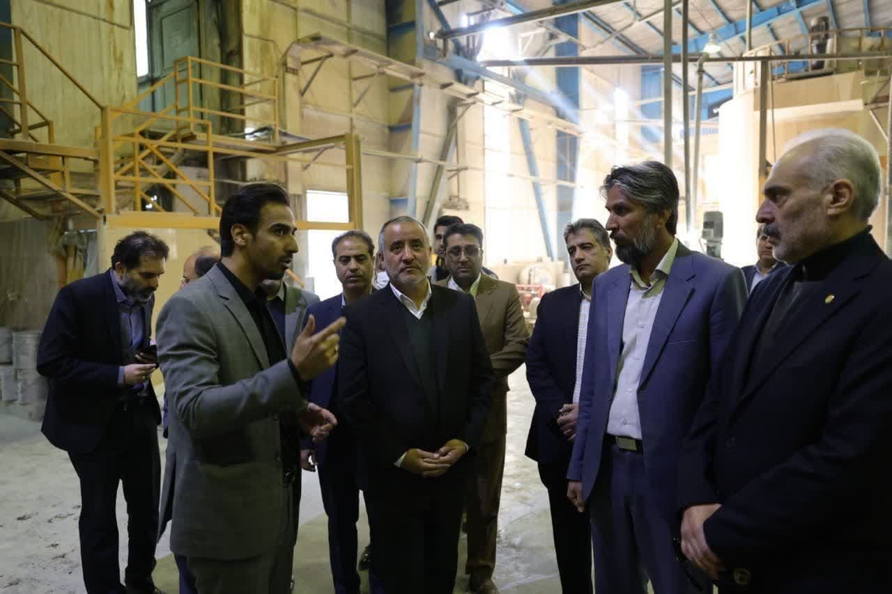بازدید استاندار خراسان جنوبی از واحدهای صنعتی بیرجند در قالب "یکشنبه صنعتی"