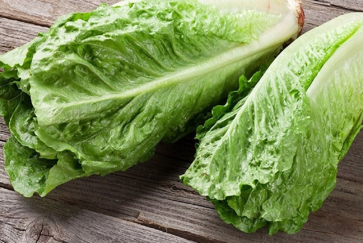سه سوته تلخی کاهو را از بین ببرید