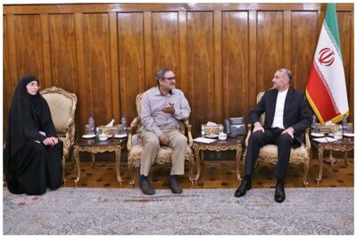 امیرعبداللهیان با خانواده محمدرضا نوری دیدار کرد