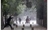 هشدار؛ ۷ استان ایران منتظر رگبار و رعد و برق باشند