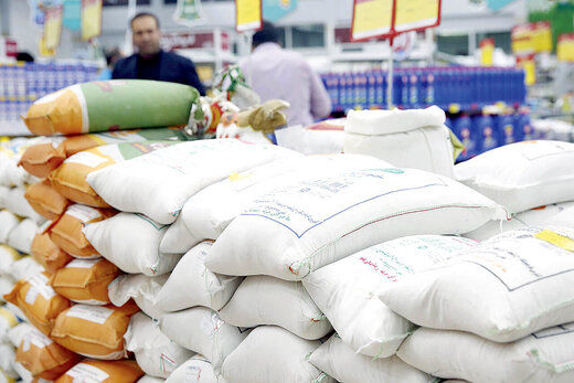 قیمت انواع برنج در بازار چند؟