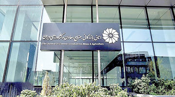 بار دولت بر دوش بخش‌خصوصی