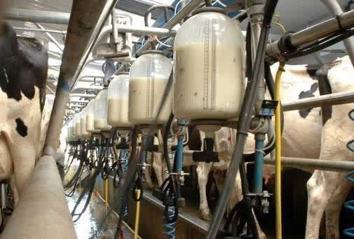  قیمت شیرخام درب دامداری چقدر تصویب شد؟