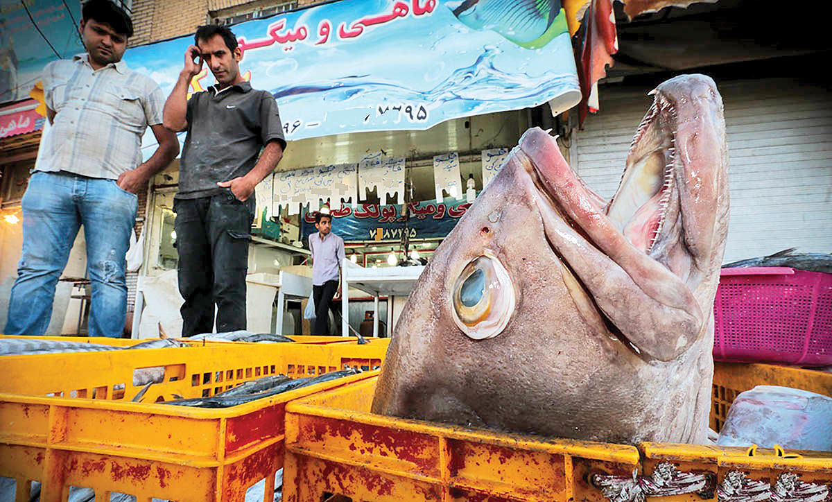 کاهش 40 درصدی فروش ماهی