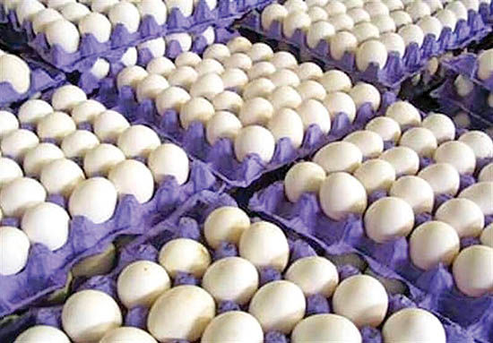 اتحادیه مرغداران میهن مسوول تنظیم بازار تخم‌مرغ شد