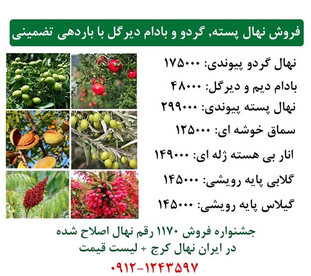 لیست قیمت پرفروش ترین های نهال بادام + پسته پیوندی و گردو پیوندی با باردهی %100 تضمینی