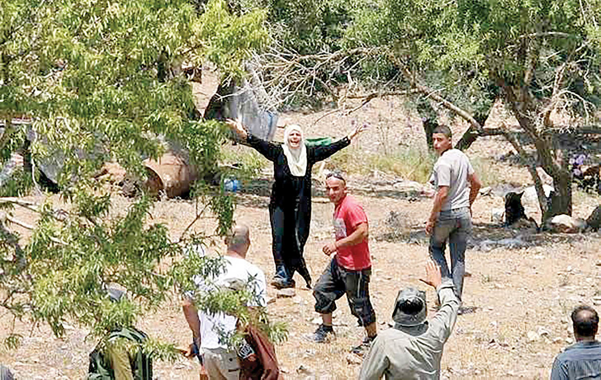 زیتون علیه اشغال