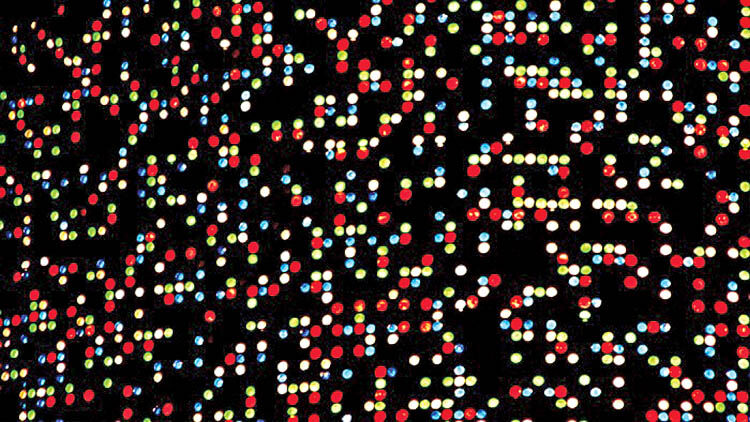 کاهش پیشرفت‌های برابری جنسیتی!