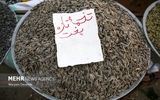 منع صادرات 15 محصول برداشته شد+ جزئیات