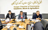 مانع «مسکن کوچک» به گرگان رسید
