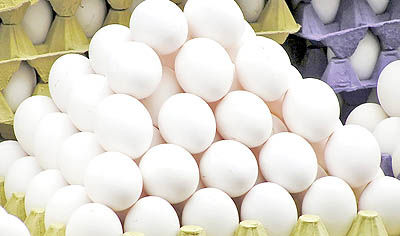تثبیت قیمت تخم‌مرغ