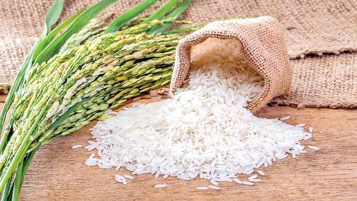 تاثیر لغو ممنوعیت فصلی واردات برنج