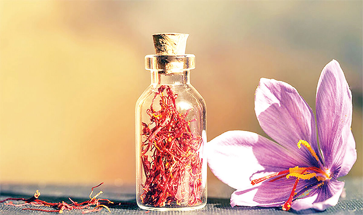 «کاشت زعفران»  برای کشاورزان منفعت ندارد