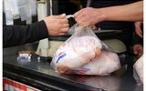 تازه ترین قیمت‌های گوشت سفید؛ فیله مرغ و ران بوقلمون رکورددار گرانی