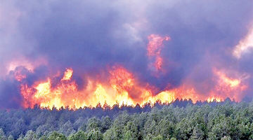 آتش به جان اقتصاد محلی