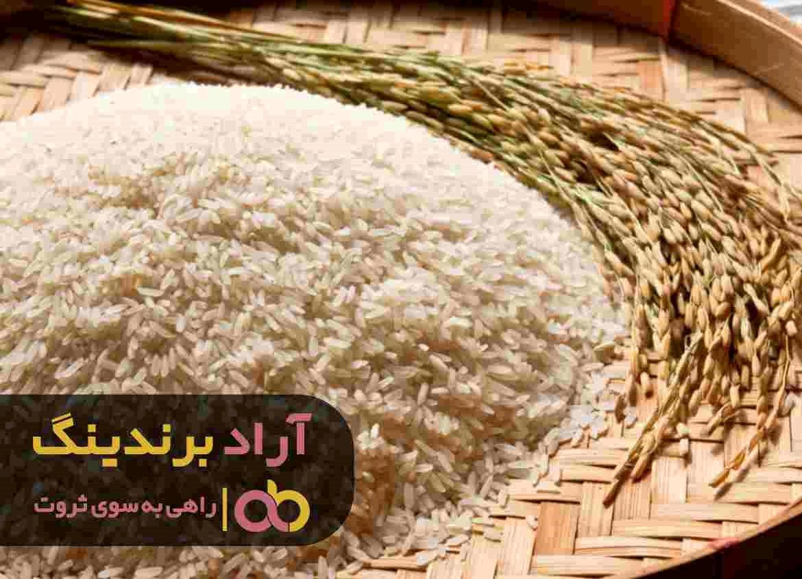 قیمت برنج چمپا دانه بلند امامی در تهران