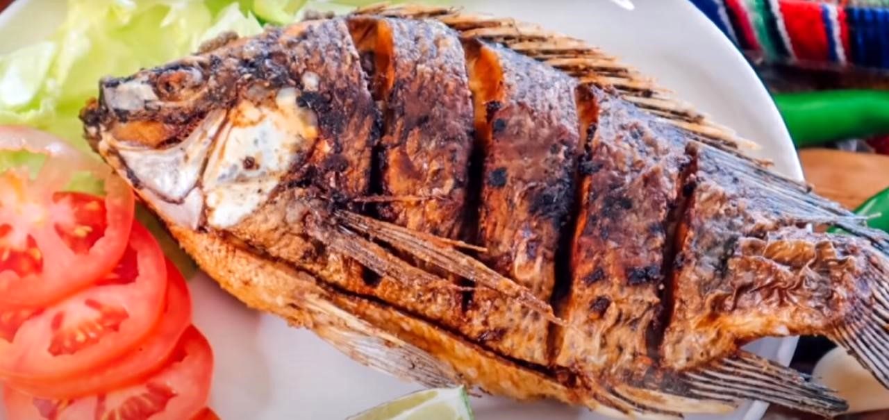 ارزش غذایی ماهی قزل آلا طلایی که تا به امروز نشنیده اید