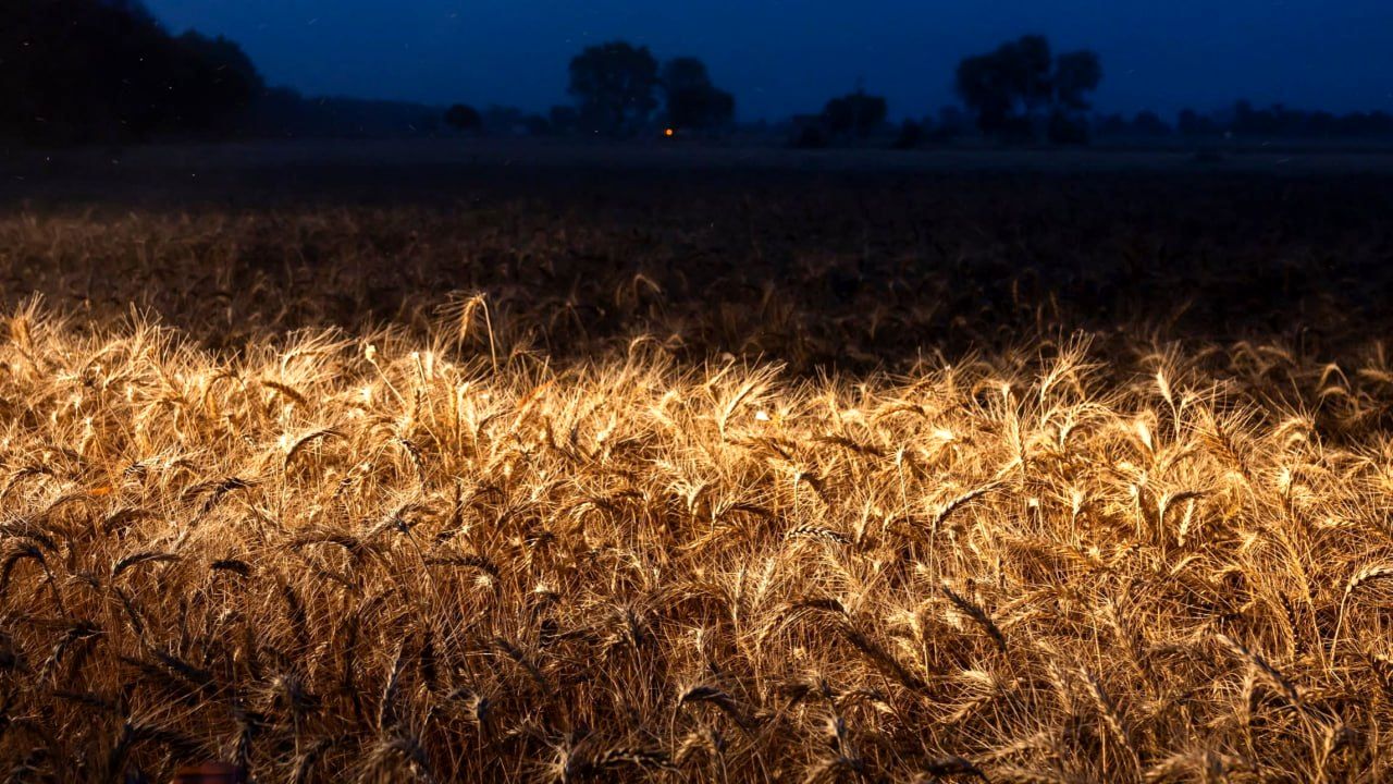 جهان در آستانه بحران غذا