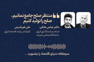 منتظر صلح جامع نمانیم، صلح را تولید کنیم