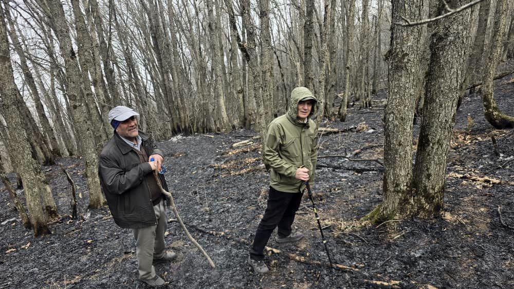 همکاری نیروهای مردمی و ارگانهای دولتی در اطفاء حریق جنگل‌های دیزمار