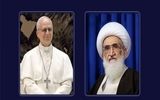 نامه آیت‌الله نوری‌همدانی به دست پاپ رسید