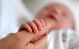 نرخ سود تسهیلات فرزندآوری