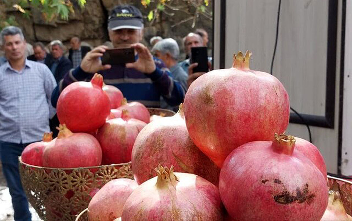 جشنواره انار ؛ برند گردشگری درجزین