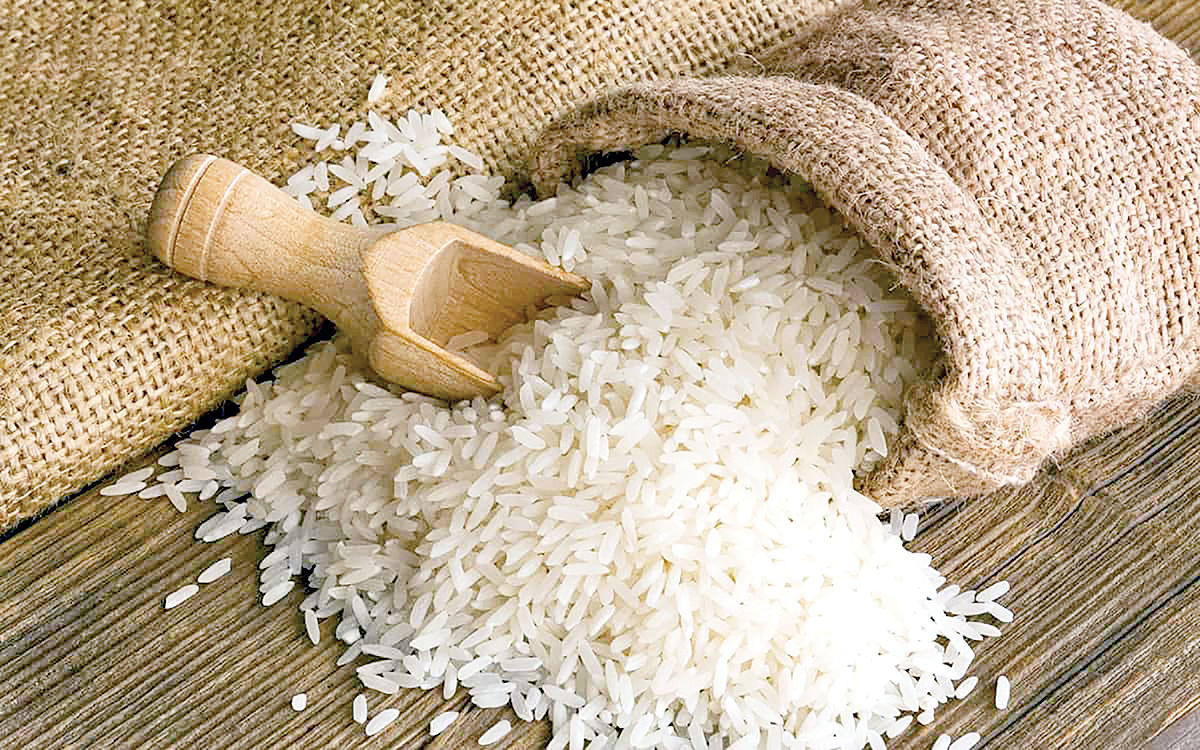 خودکفایی برنج چه زمانی محقق می‌شود؟