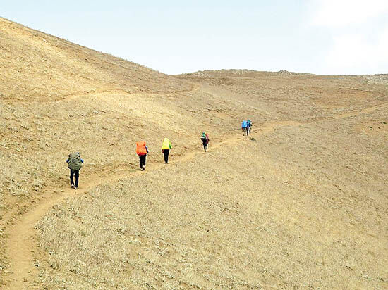 معمای ریزنقشی طبیعت‌گردی
