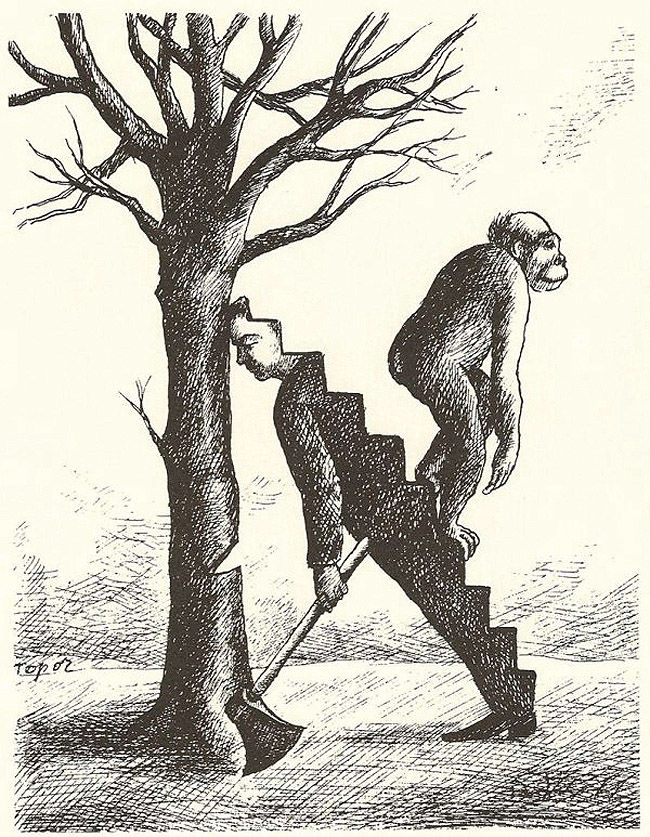 هپروتِ جاماندگان