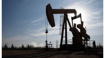 طلای سیاه در قله 14 ماهه