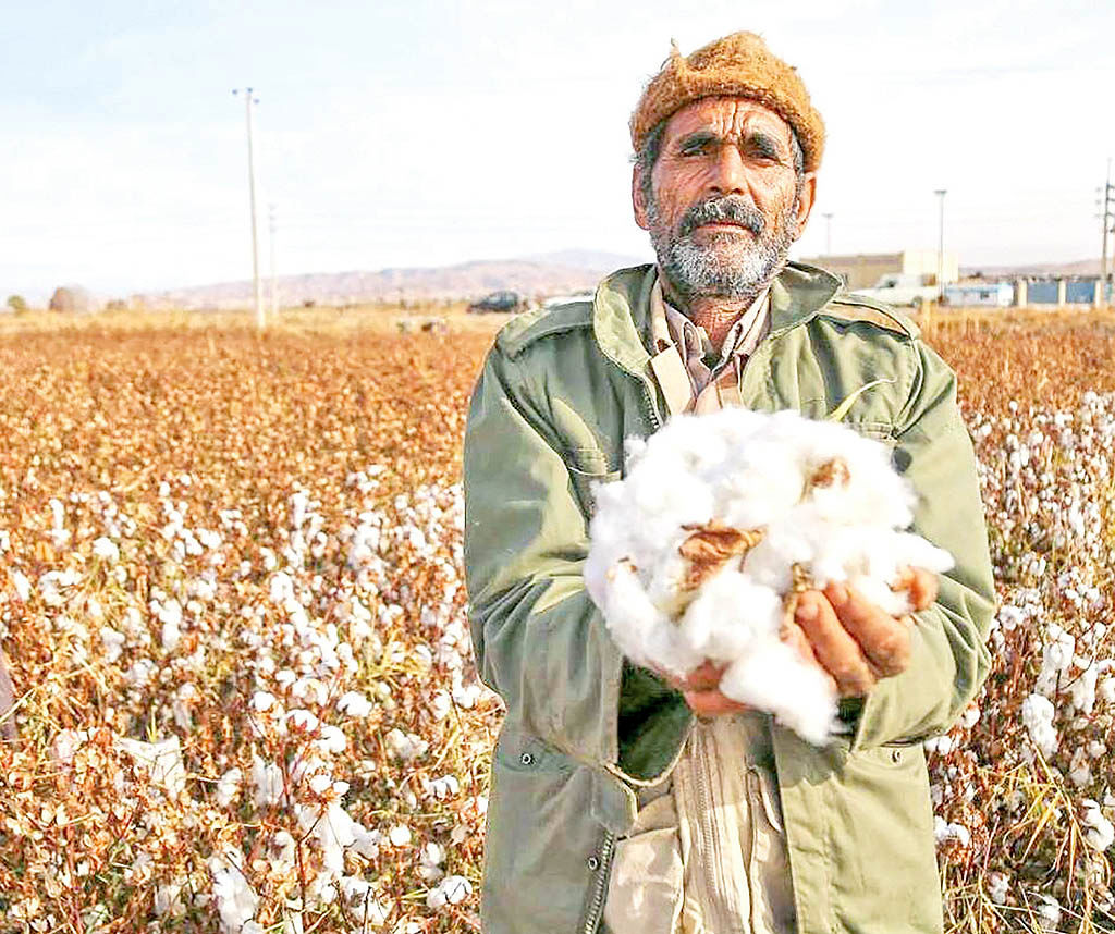 اتاق اصناف کشاورزی تشکیل می‌شود