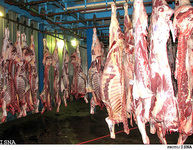 علت افزایش قیمت گوشت اعلام شد