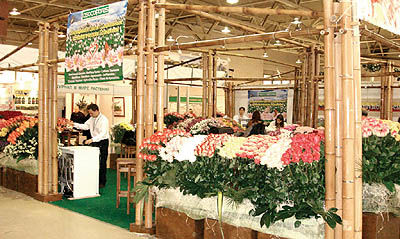 بازار رنگین گل در روسیه