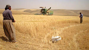 بودجه کشاورزی کردستان دو برابر می‌شود