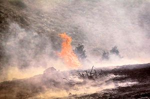 آتش در پارک ملی گلستان سرانجام خاموش شد!