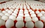 صادرات مرغ و تخم‌مرغ با ارز یارانه‌ای/ ابهام پررنگ تر شد