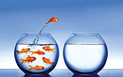 عرضه مهم بازار به شب عید‌ کشید‌ - ۱۹ اسفند ۹۱