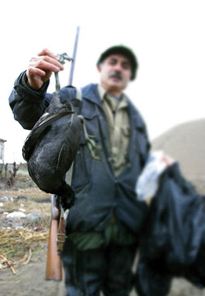 شکار پرندگان در قزوین ممنوع شد