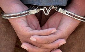 بازداشت دو فرنگی‌کار تیم ملی کشتی
