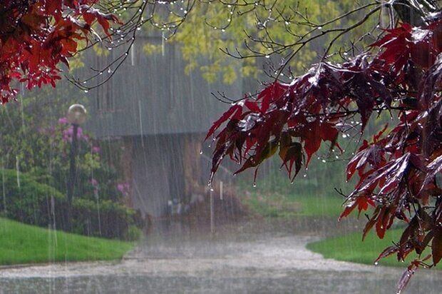 بارندگی و وزش باد شدید در برخی استان‌ها